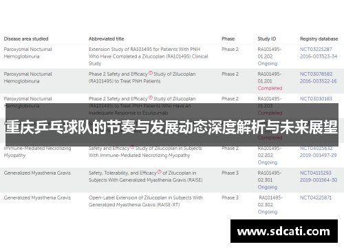 重庆乒乓球队的节奏与发展动态深度解析与未来展望