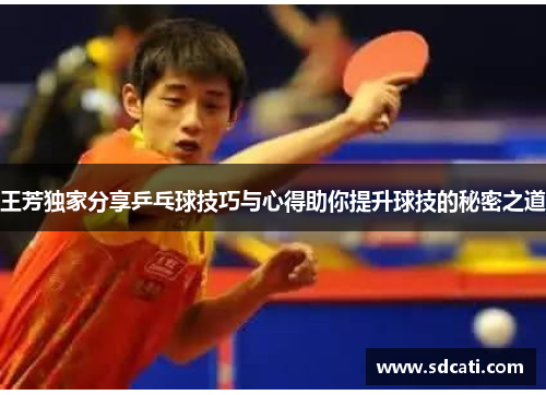 王芳独家分享乒乓球技巧与心得助你提升球技的秘密之道