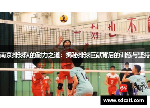 南京排球队的耐力之道：揭秘排球巨献背后的训练与坚持