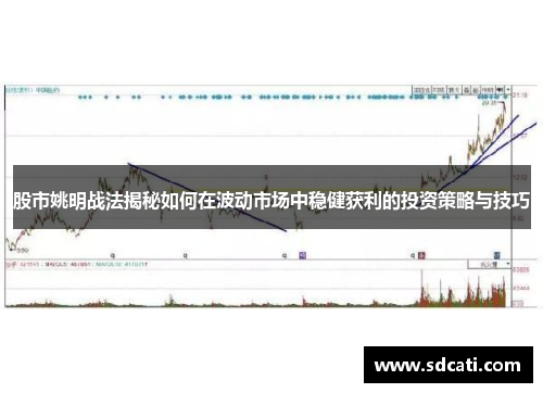 股市姚明战法揭秘如何在波动市场中稳健获利的投资策略与技巧