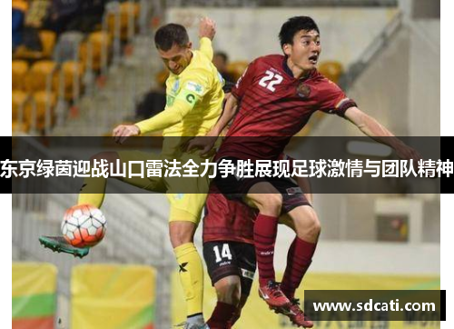 东京绿茵迎战山口雷法全力争胜展现足球激情与团队精神