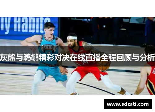 灰熊与鹈鹕精彩对决在线直播全程回顾与分析