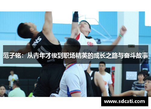 范子铭：从青年才俊到职场精英的成长之路与奋斗故事